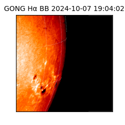 gong - 2024-10-07T19:04:02