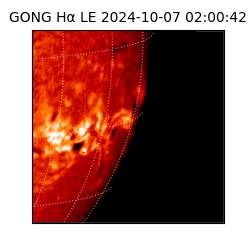 gong - 2024-10-07T02:00:42