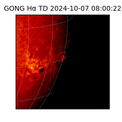 gong - 2024-10-07T08:00:22
