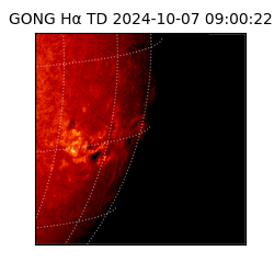 gong - 2024-10-07T09:00:22