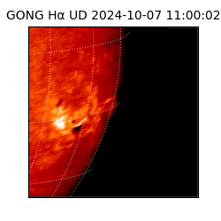 gong - 2024-10-07T11:00:02