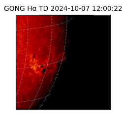 gong - 2024-10-07T12:00:22