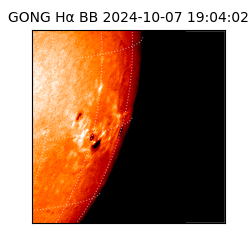 gong - 2024-10-07T19:04:02