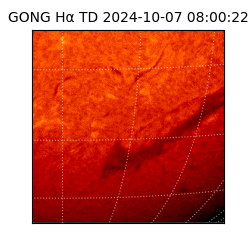 gong - 2024-10-07T08:00:22