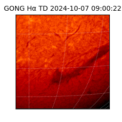 gong - 2024-10-07T09:00:22