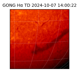 gong - 2024-10-07T14:00:22