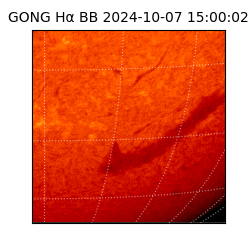 gong - 2024-10-07T15:00:02