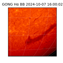 gong - 2024-10-07T16:00:02