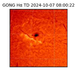 gong - 2024-10-07T08:00:22