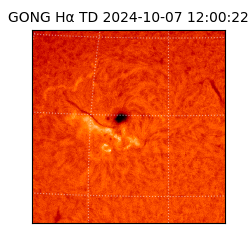 gong - 2024-10-07T12:00:22
