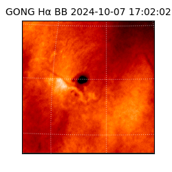 gong - 2024-10-07T17:02:02