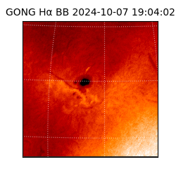 gong - 2024-10-07T19:04:02