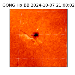 gong - 2024-10-07T21:00:02