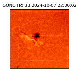 gong - 2024-10-07T22:00:02