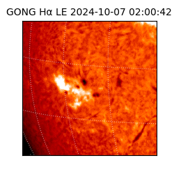 gong - 2024-10-07T02:00:42