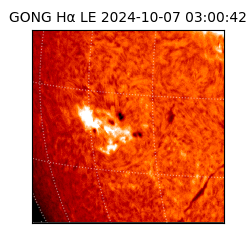 gong - 2024-10-07T03:00:42