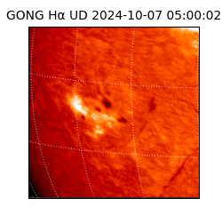 gong - 2024-10-07T05:00:02