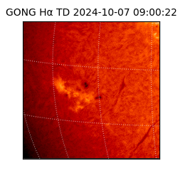 gong - 2024-10-07T09:00:22