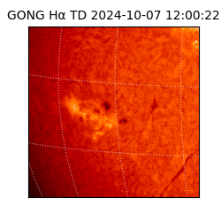 gong - 2024-10-07T12:00:22