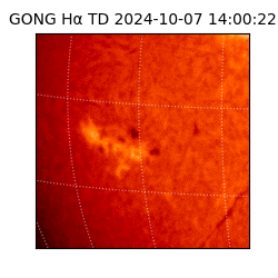 gong - 2024-10-07T14:00:22