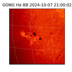 gong - 2024-10-07T21:00:02