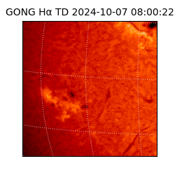 gong - 2024-10-07T08:00:22