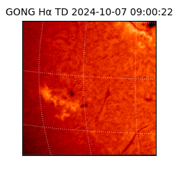 gong - 2024-10-07T09:00:22