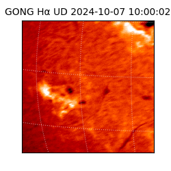 gong - 2024-10-07T10:00:02
