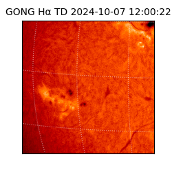 gong - 2024-10-07T12:00:22