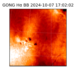 gong - 2024-10-07T17:02:02