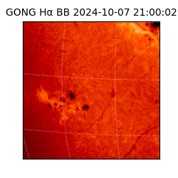 gong - 2024-10-07T21:00:02