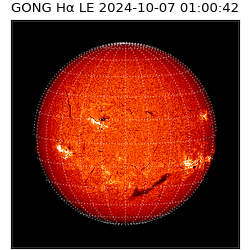 gong - 2024-10-07T01:00:42