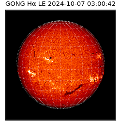 gong - 2024-10-07T03:00:42