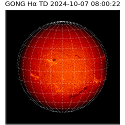 gong - 2024-10-07T08:00:22