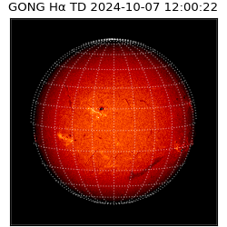 gong - 2024-10-07T12:00:22