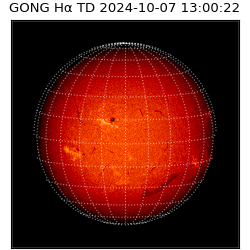 gong - 2024-10-07T13:00:22