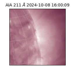 saia - 2024-10-08T16:00:09.626000