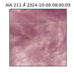 saia - 2024-10-08T08:00:09.626000
