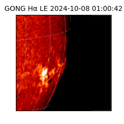 gong - 2024-10-08T01:00:42