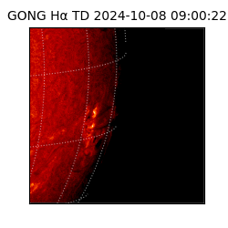 gong - 2024-10-08T09:00:22