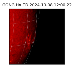 gong - 2024-10-08T12:00:22