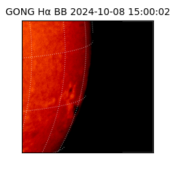 gong - 2024-10-08T15:00:02