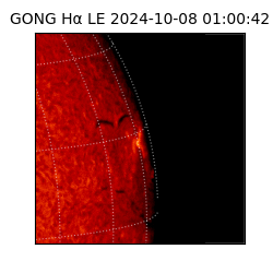 gong - 2024-10-08T01:00:42