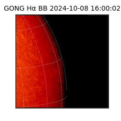 gong - 2024-10-08T16:00:02