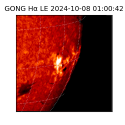 gong - 2024-10-08T01:00:42