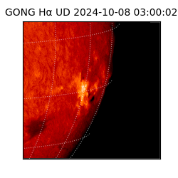 gong - 2024-10-08T03:00:02