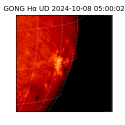 gong - 2024-10-08T05:00:02