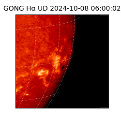 gong - 2024-10-08T06:00:02
