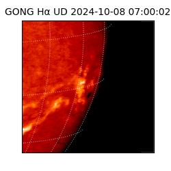 gong - 2024-10-08T07:00:02