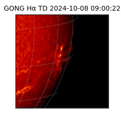 gong - 2024-10-08T09:00:22